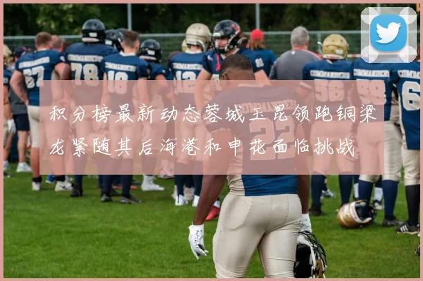 积分榜最新动态蓉城玉昆领跑铜梁龙紧随其后海港和申花面临挑战